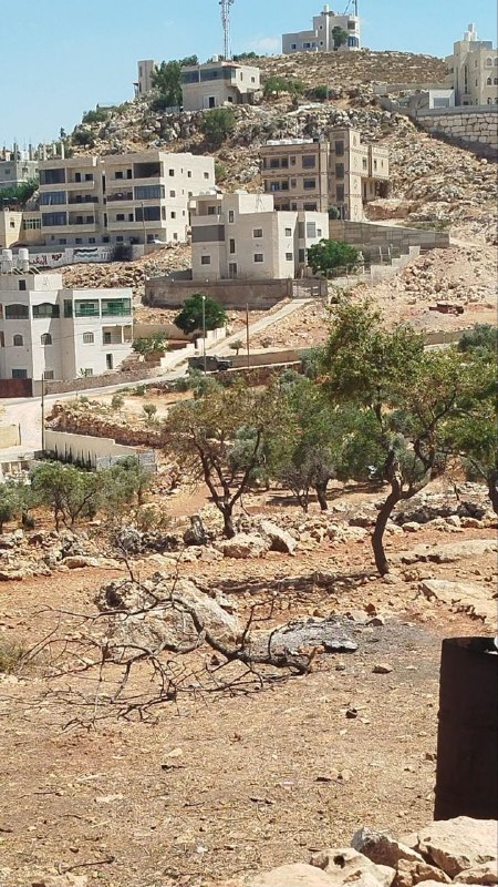 כוחות הכיבוש מסתערים על הכפר אל-מוג'יר, צפונית מזרחית לרמאללה