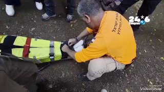 🇮🇱 מתנדבי משטרת ישראל מיחידת חילוץ גולן חילצו לפני זמן קצר נערה בת 16 מירושלים, שטיילה במסגרת בית הספר בש…