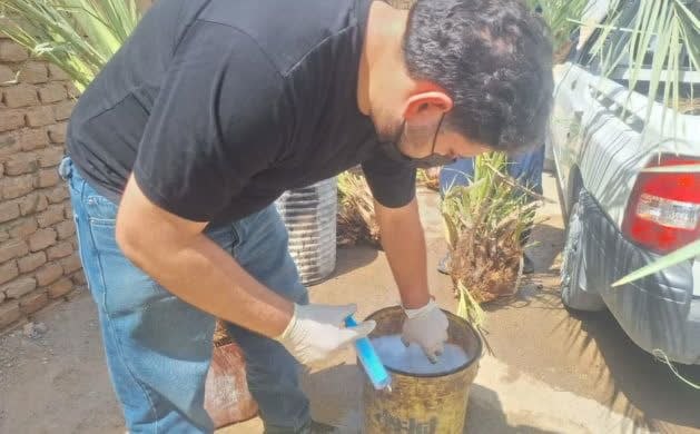 دیده بانی خبر یزد 🇮🇷: توقیف محموله مشکوک پاجوش خرما قبل از توزیع در اشکذر🔹مدیر جهاد کشاورزی شهرستان اشکذر: صبح امروز یک دستگاه خودروی حامل محم