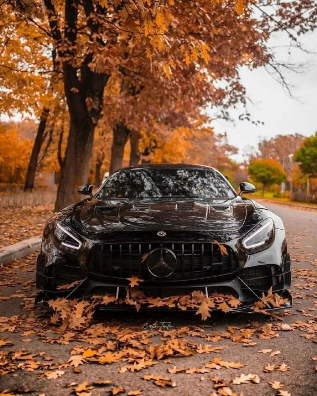 Mercedes-AMG GTR PRO 8