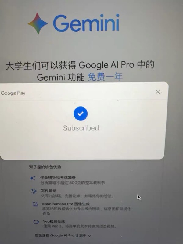 闲鱼真牛逼，49.9块的包年gemini pro