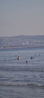 🚨🚨המשהד הוא מתמונה לפני זמן מה