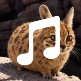 Margy TikTok ТОЛСТЫЙ ТИЛКАЙО