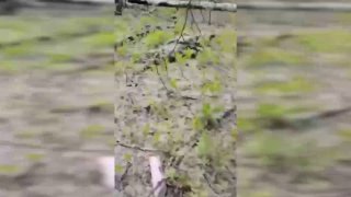 הודעת וידאו לאנשי צבא של חטיבת ההגנה הטריטוריאלית הנפרדת ה-111 של הכוחות המזוינים של אוקראינה מופצת באינטרנ…
