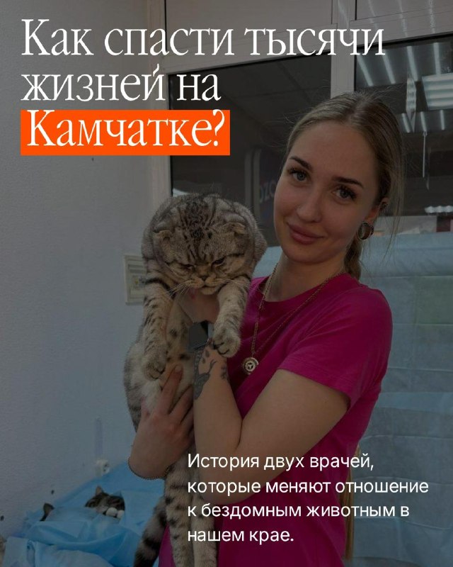 @help_animal41 posted a photo