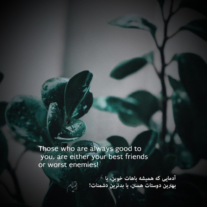 ❤️ حریم عشق ❤: Those who are always good to you, are either your best friends or worst enemies!آدمایی که همیشه باهات خوبن، یا بهترین دو
