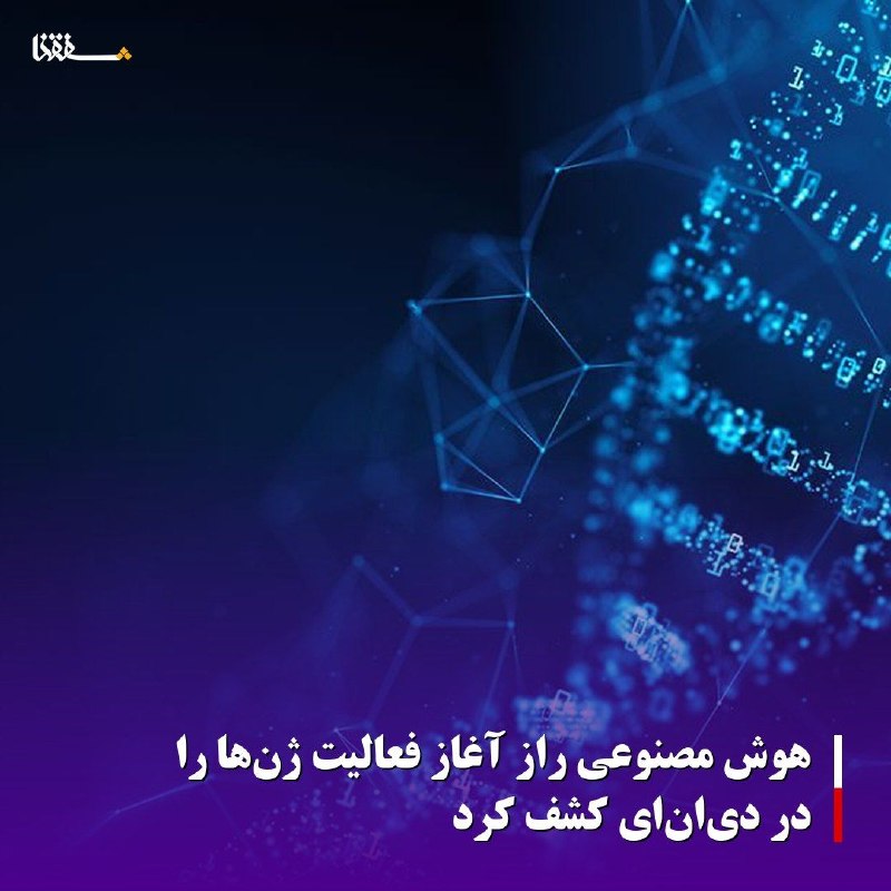 خبرگزاری بین المللی شفقنا: 🔴هوش مصنوعی راز آغاز فعالیت ژنها را در دیانای کشف کرد⬅️به گزارش سرویس ترجمه شفقنا، پژوهشگران دانشگاه کالیفرنیا، سندی