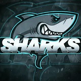 Shark Traffic