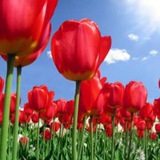 نوری در تاریکی