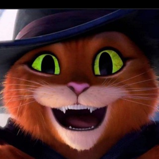 Telegram profile photo for Kenny's Madhouse