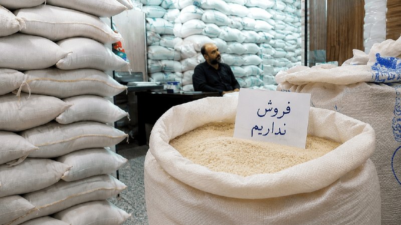 آخرین خبر مازندران: ♦️کشاورزان مازنی از فروش برنج دست نگه داشتند🔹با عبور برداشت برنج مازندران از ۴۵ درصد مزارع، کشاورزان تمایل چندانی به فرو