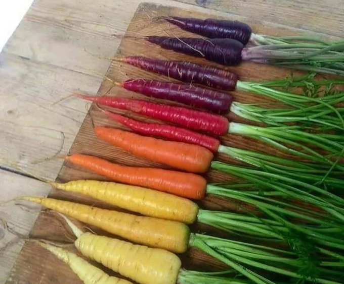 Carrots were originally purple, white, yellow, and red.