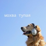 Мohвеш голодная
