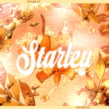 ˖ ࣪ 𝑆𝘵𝘢𝘳𝘭𝘦𝘺 ! ࣪ ˖