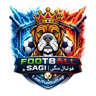 Football Sagi | فوتبال سگی 🐶
