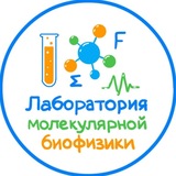 Лаборатория молекулярной биофизики | ГНЦ ИБХ РАН