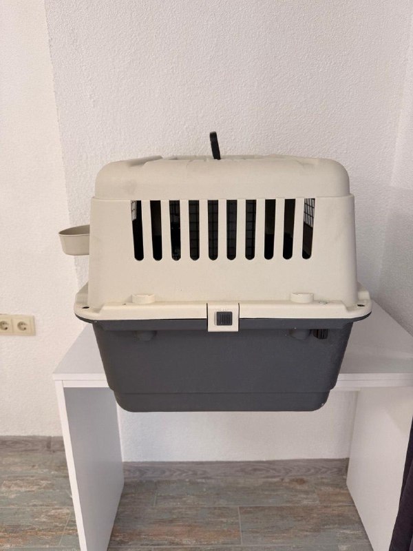 Фото 4