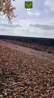 עוד אדם בר מזל שהצליח לעזוב את ננקה הבחור המריא באזור חמלניצקי על מצנח רחיפה וטס מעבר לגבול אוקראינה-מולדוב…