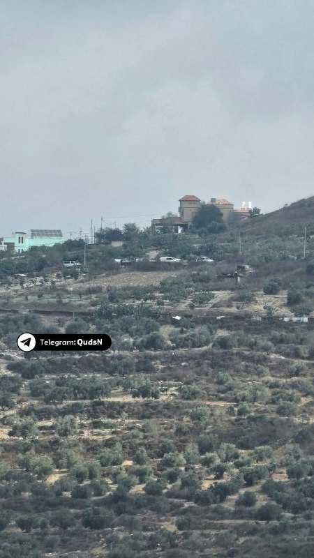 רשת חדשות ירושלים