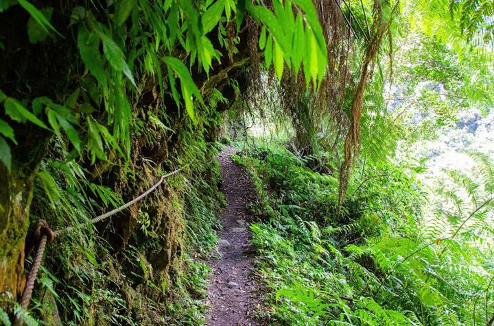 走入《月光小夜曲》：南澳古道(莎韻之路)