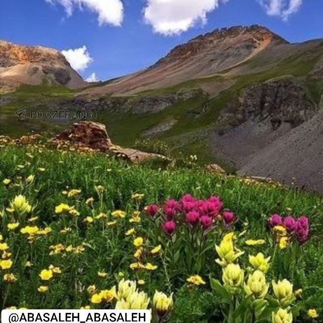 🍂منتظـ³¹³ــران‌ظـهـور🍂: از اینجا تا بهشت یک قدم است؛ قدم اول را بگذارید روی هوای نفسقدم دوم در بهشت است ..-آیت‌اللّٰه‌کشمیری(ره)-❤️🌿اللّٰهم بارِ