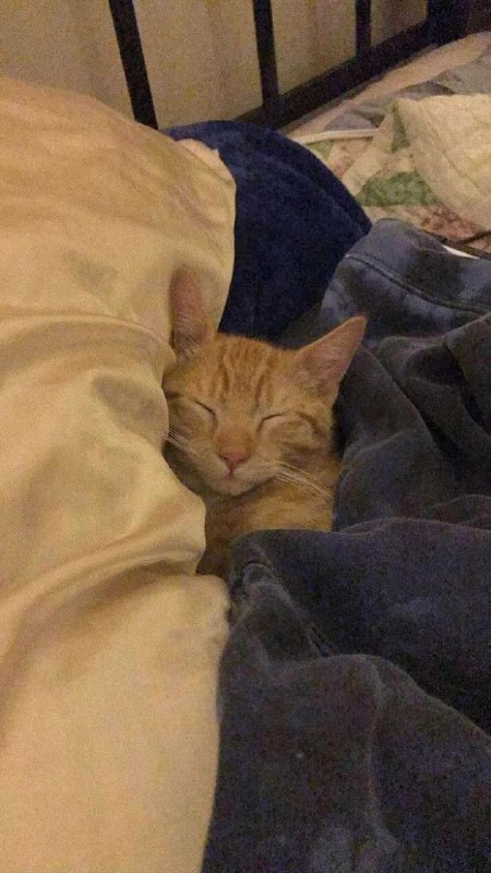 National Geographic farsi: شب بخیر 😴💤 🌏 | @NationalGeographicFarsi