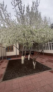 Plot for sale