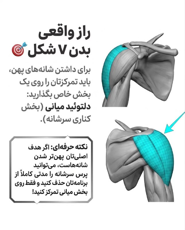 بدنساز آنلاین: اگه میخواهی سرشانههایی بزرگ، گرد و سهبعدی داشته باشی، فقط بالا بردن وزنههای سنگین کافی نیست. 🔥💪راز شانههای 3D در ای