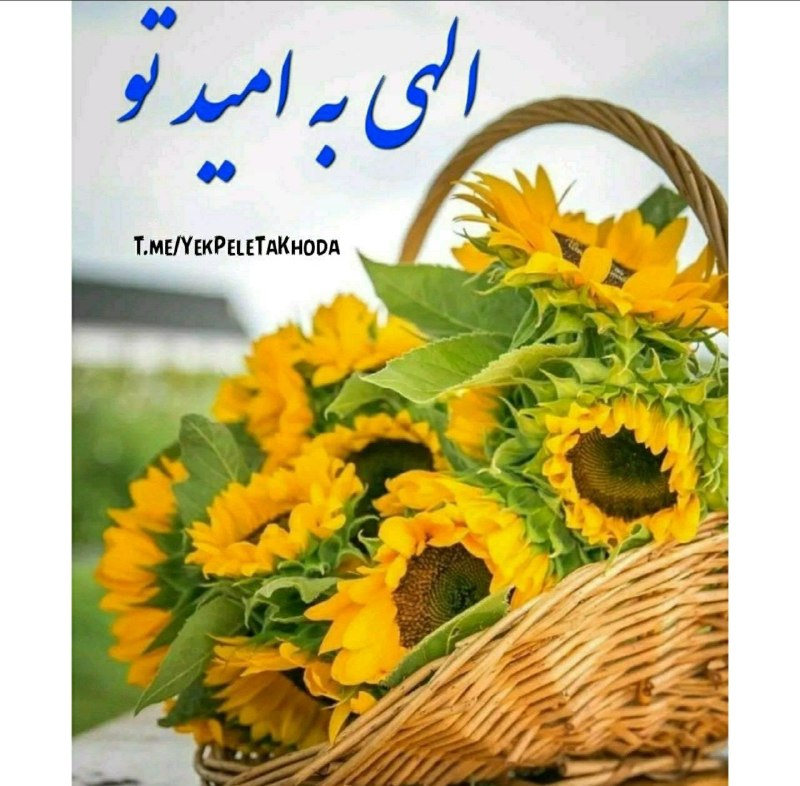 💕 صاحب الزمان (عج )💕: 🌹 در این روزهای معنوی 🌺دعا میکنم همہخوبی‌ های دنیامال شما باشہدلتون شاد باشہغمی توی دلتون نشینہخنده از لبتون پاک نشہو دن