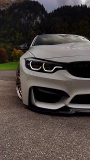 https://t.me/carporn24