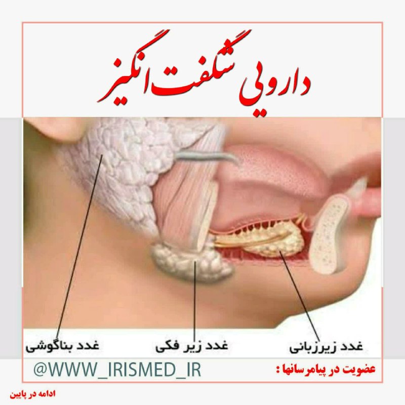درمانگاه طب اسلامی گیاهی شفا: 🔶 یک ماده و بیشمار خاصیت🔷 استاد حسین #خیراندیش: مطمئنم تا حالا به ویژگیهای #متنوع و فراوان #بزاق، فکر نکردین و از میزان