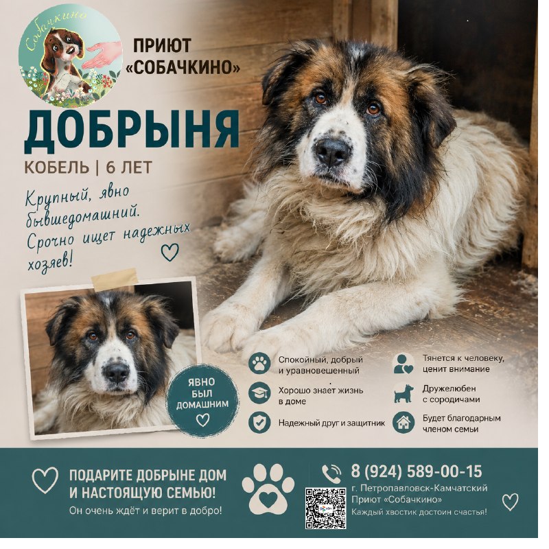 @help_animal41 posted a photo