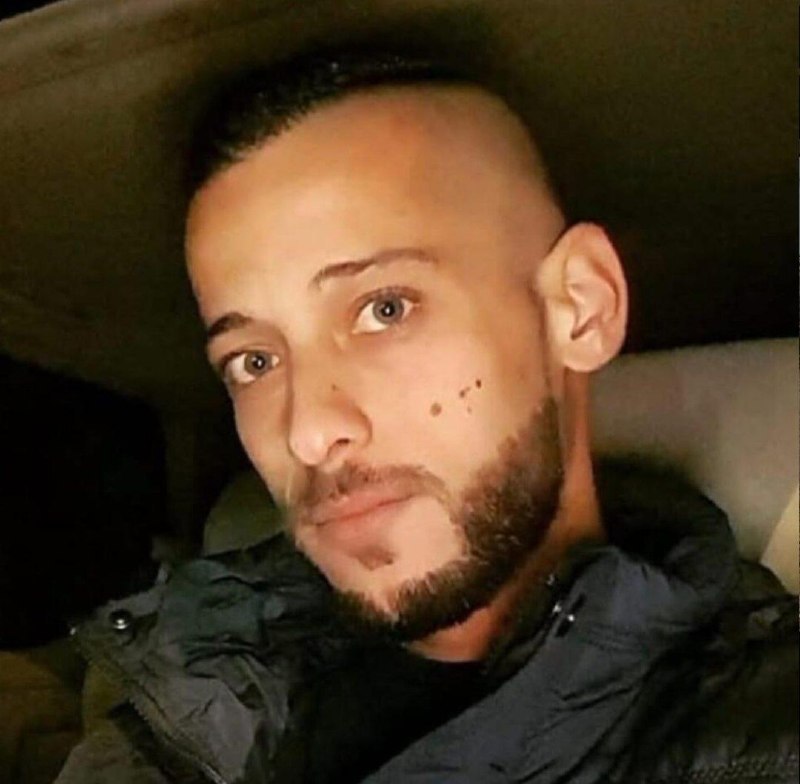 אור רביד
