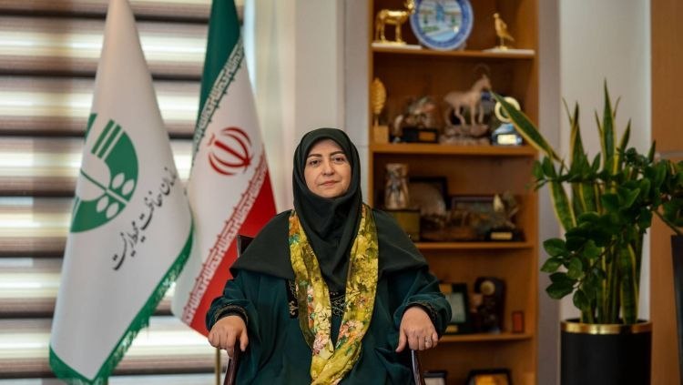 روزنامه ایران: ⭕️ پزشکیان محیط زیست را بخشی از عدالت و توسعه پایدار میداندگزارش رئیس سازمان حفاظت محیط زیست، از عملکرد دو ساله در دولت