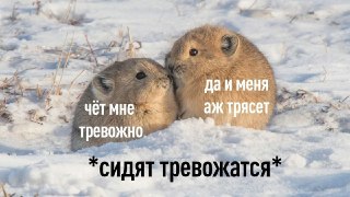Причина тряски? Отключения интернета, конечноАгенство КРОС, которое каждый квартал публикует рейтинг событий, наиболее тревожащих россиян, рассказало, что отключения и блокировки интернета в стране стали самым тревожным явлением — в том числе по частоте и 