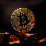 💰💰CRYPTO BOX & CRYPTO BOX💰💰