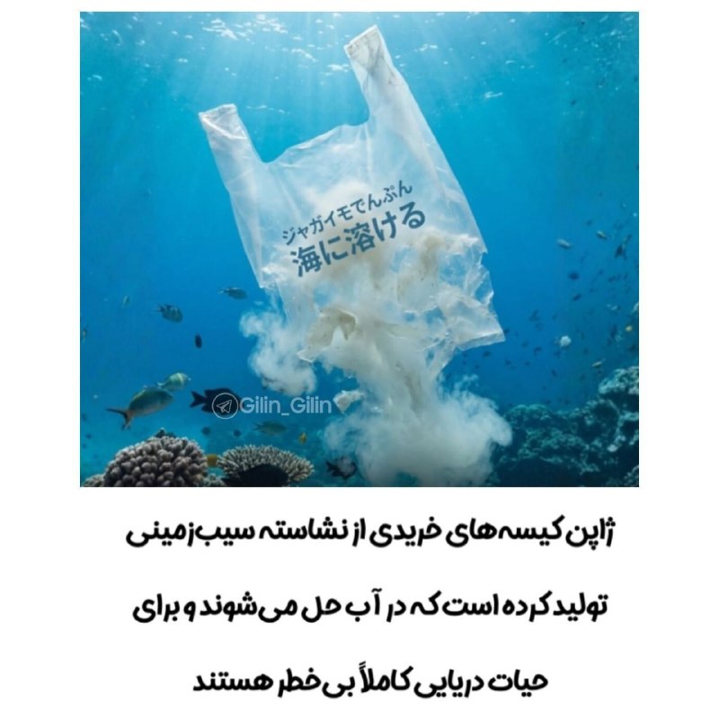 آخرین خبر مازندران: ♦️ژاپن از کیسه‌های خرید محلول در آب رونمایی کرد🔹ژاپن کیسه‌های خریدی بر پایه نشاسته سیب‌زمینی توسعه داده که در تماس با آب
