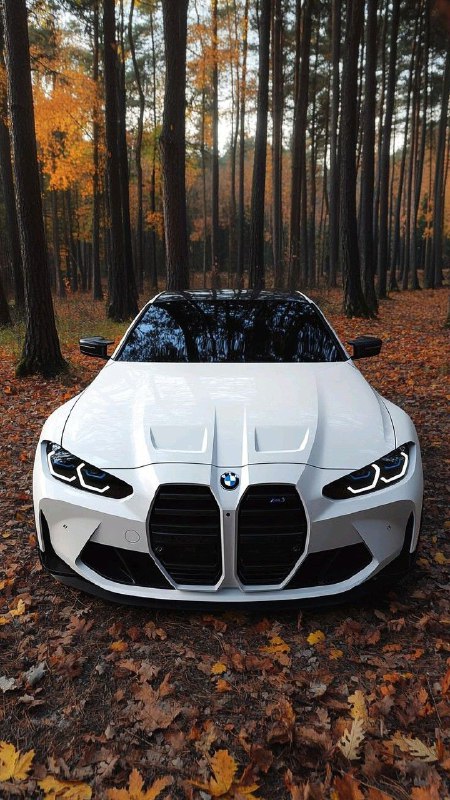 BMW M Powerhttps://t.me/bmw_mpower_club@bmw_mpower_club#bmw #mpower #bmwmpower #