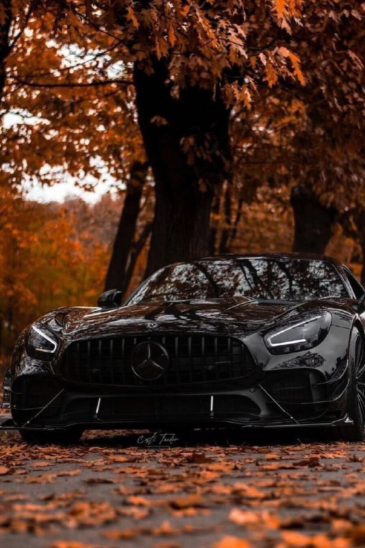 Mercedes Benz