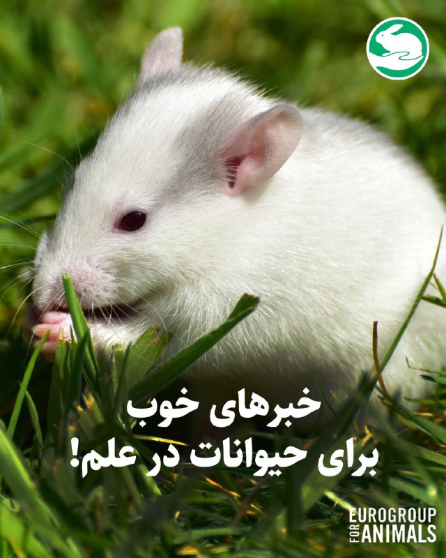 به جای آزمایش روی حیوان: دیگر تحولِ شرایط حیوانات فقط یک ایده نیست، واقعاً در حال تحقق است!منبع@noanimaltestinدیگر تحولِ شرایط حیوانات فقط یک اید
