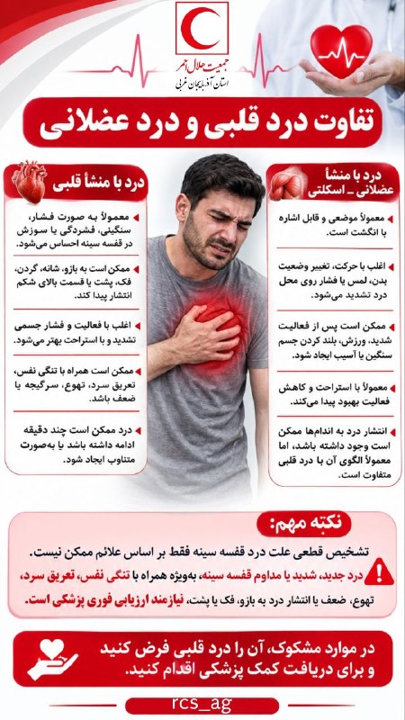 پایگاه خبری هاژه: 🫀درد قلبی یا درد عضلانی؟١۴٠۵٫٠۵٫٢٩🆔 @HajeNews