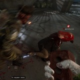 putrrefaction archive
