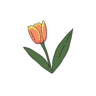 Telegram profile photo for Первый ближневосточный | Иран 🇮🇷 | Ливан 🇱🇧 | Йемен 🇾🇪