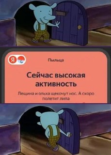 В Яндекс Погоде теперь можно отслеживать цветение 8 растений и заносы пыльцы.Сервис обновил карту для аллергиков: теперь в прогнозе учитываются лещина (орешник) и липа. Еще добавили мониторинг ветряных заносов. Приложение анализирует движение воздушных мас