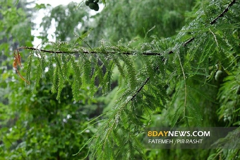 کانال خبری هشتدی: 🌀 هوای گیلان امروز و فردا خنک است🌦بر اساس گزارش هواشناسی، آسمان گیلان در روز پنجشنبه ۲۹ مرداد عمدتاً صاف تا نیمهابری خو