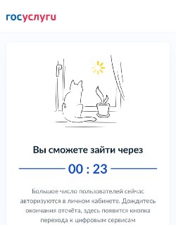 На электронном голосовании в России появились виртуальные очередиНа порталах госуслуг в России образовались виртуальные очереди из избирателей, которые собираются проголосовать в электронном формате. Об этом сообщил телеграм-канал «Выборы Госдума прожарка»