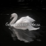 •ЗАКРЫТ•sɪʟᴇɴᴛ sᴡᴀɴ•🦢