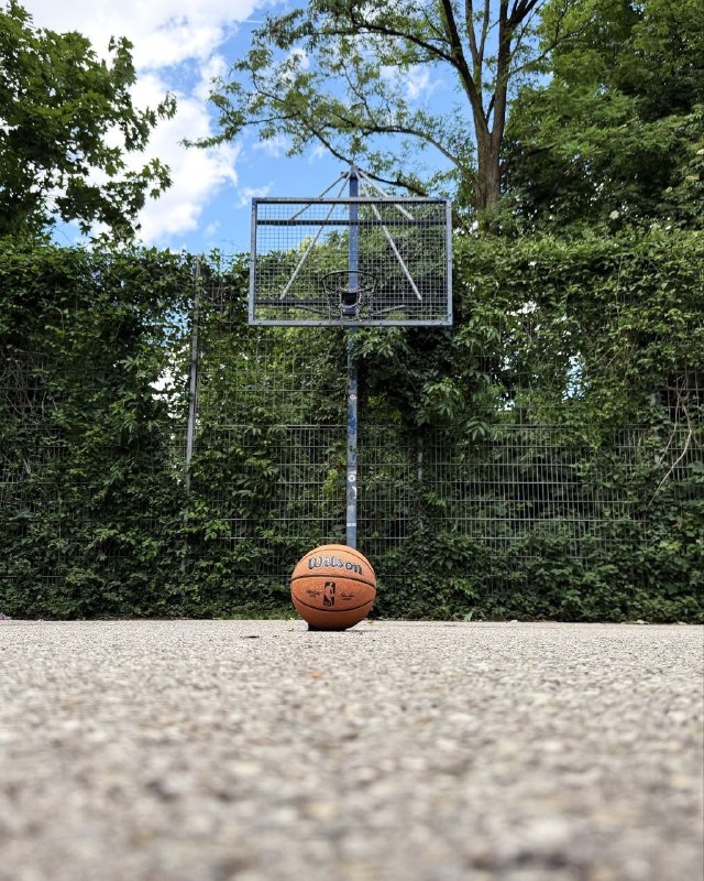 Basketball Trainer: #شای_گیلجس-الکساندر ( Shai Gilgeous-Alexander )✅ اگر سخت تلاش کنی و ذهنیت و نیتی درست داشته باشی ، همه چیز در جای خود ق