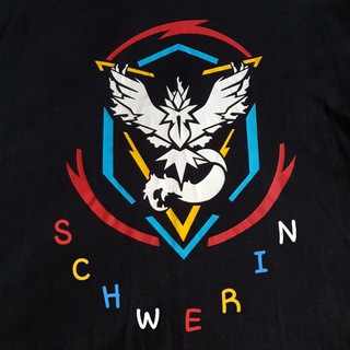 NEU👍🏼 Pokemon GO Schweriner Rocket Gruppe 2.0😎