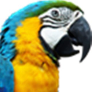 NaijaParrot Telegram Group Link